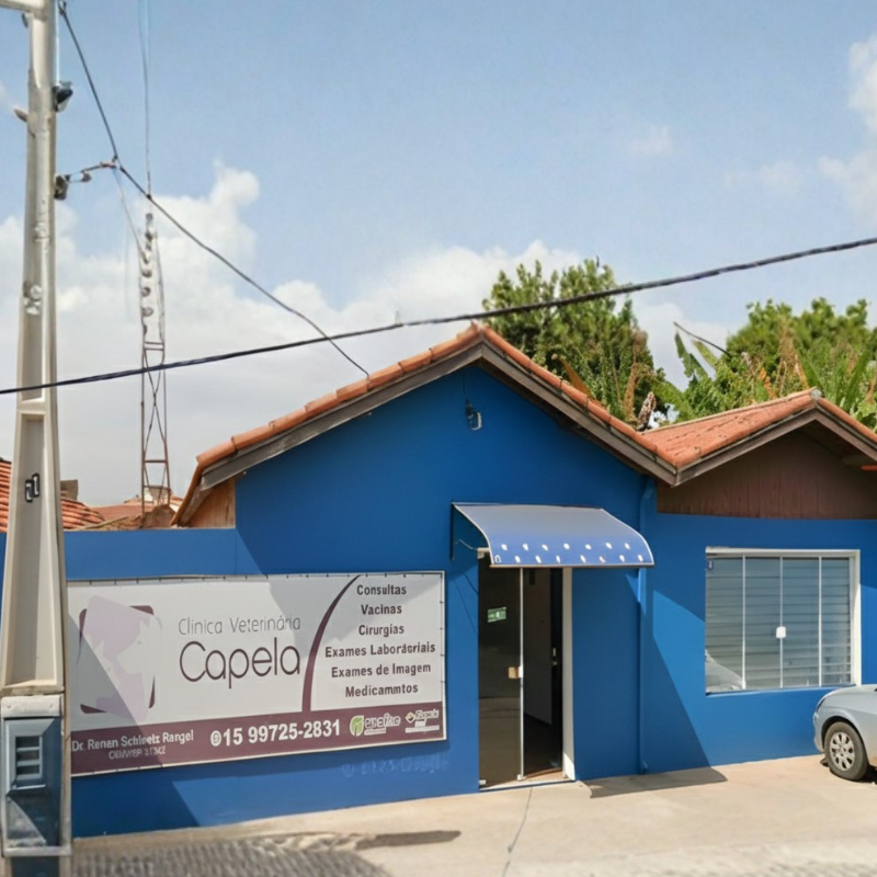 Clínica Veterinária Capela